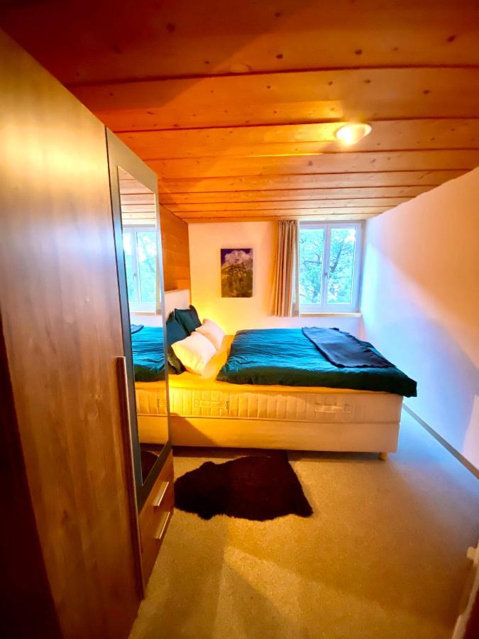 Appartement Aareschlucht- Grandiose Aussicht Fuer 2-6 Pers. ميرنغن المظهر الخارجي الصورة