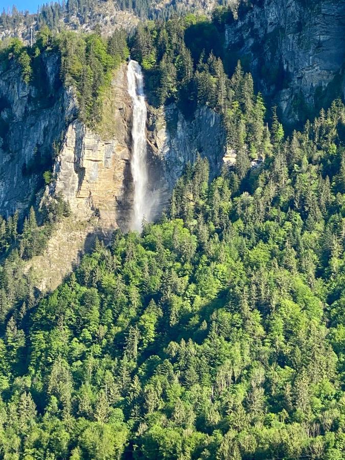 Appartement Aareschlucht- Grandiose Aussicht Fuer 2-6 Pers. ميرنغن المظهر الخارجي الصورة